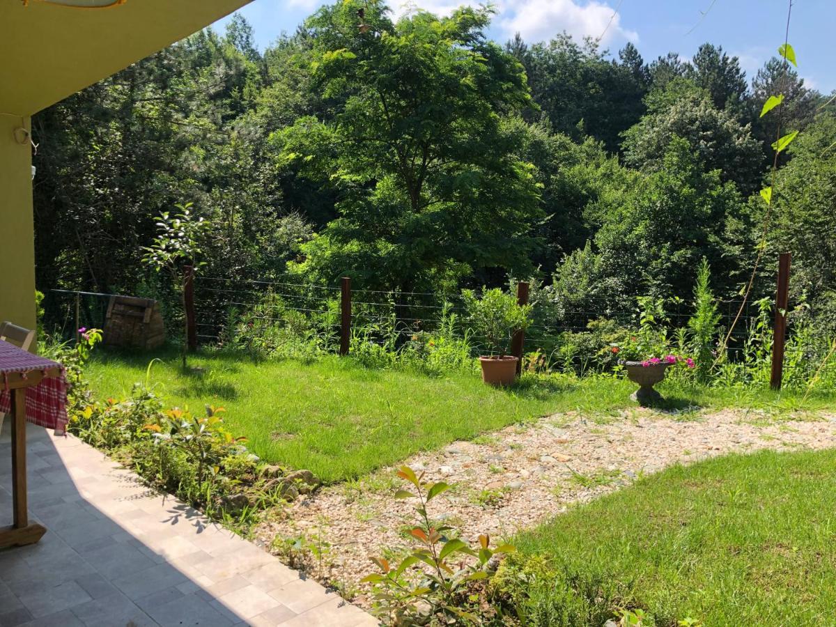 Happyhobbit Forest, Lake View, Fireplace , Jakuzi ,In Sapanca Εξωτερικό φωτογραφία