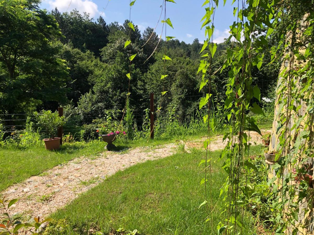 Happyhobbit Forest, Lake View, Fireplace , Jakuzi ,In Sapanca Εξωτερικό φωτογραφία