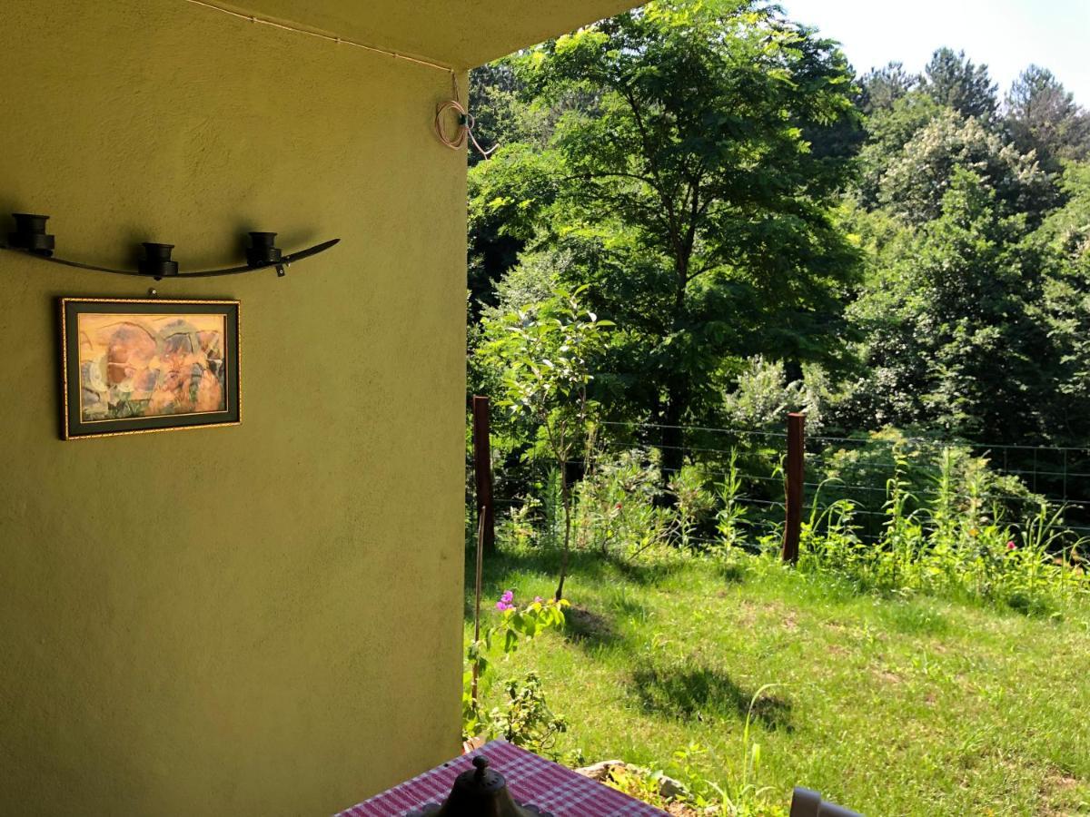 Happyhobbit Forest, Lake View, Fireplace , Jakuzi ,In Sapanca Εξωτερικό φωτογραφία